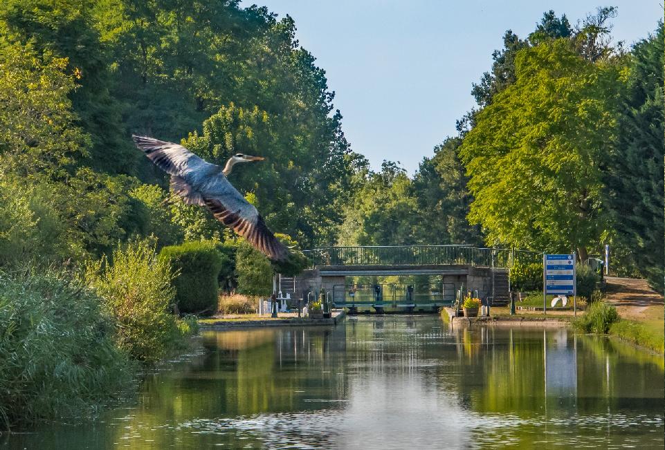 migennes
