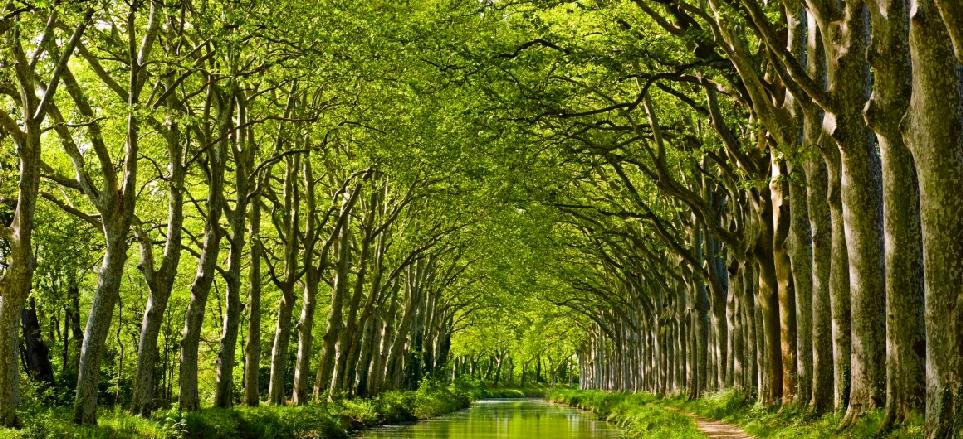 trebes